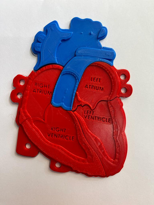 2D Heart Puzzle