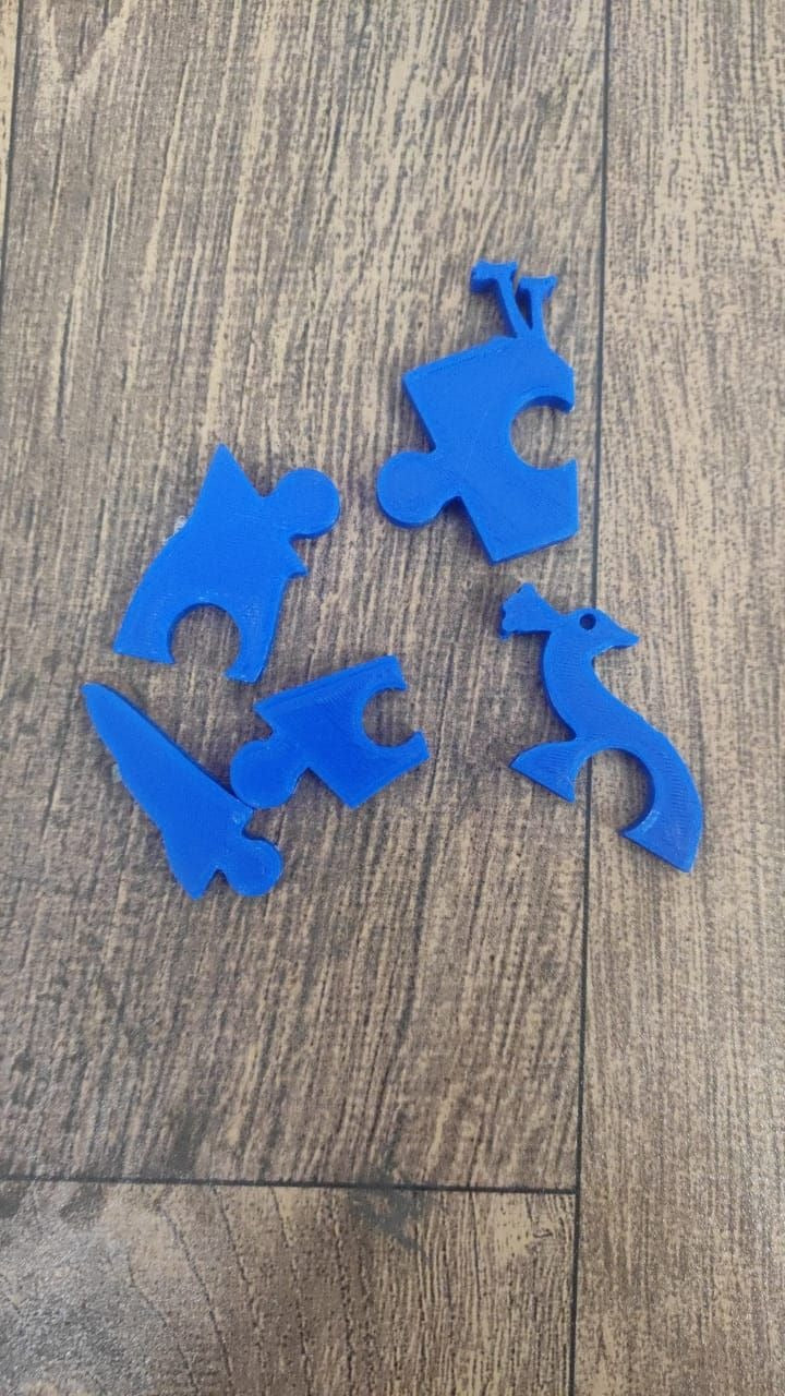 2D Puzzle India Kit