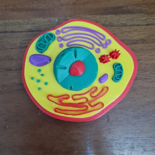 3D Animal Cell Puzzle